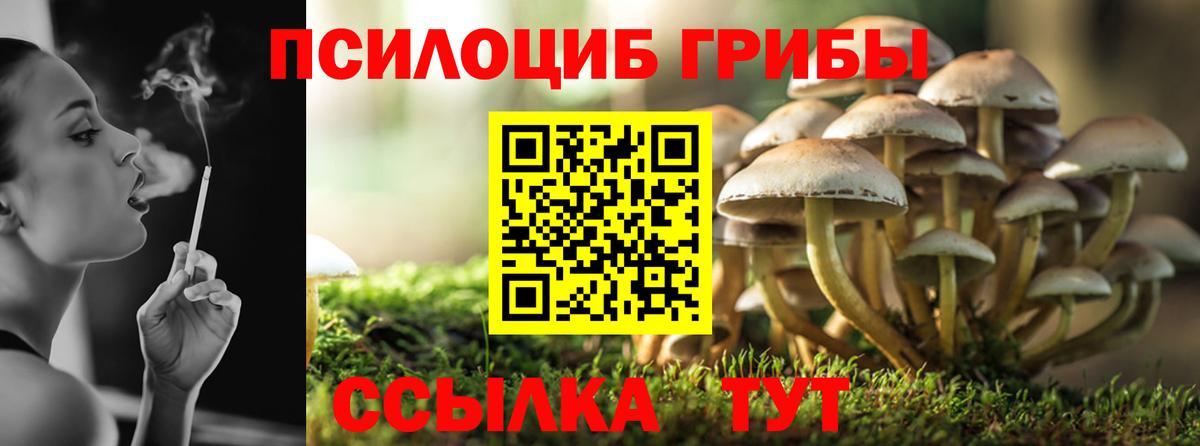 Псилоцибиновые грибы GOLDEN TEACHER  Галлюциногенные грибы GOLDEN TEACHER  продажа наркотиков  Наро-Фоминск  Вход с VPN 
